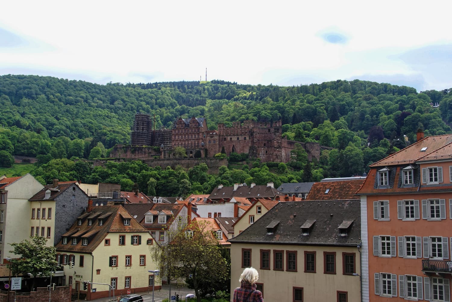 Das Heidelberger Schloss über der Altstadt, von der Alten Brücke aus gesehen